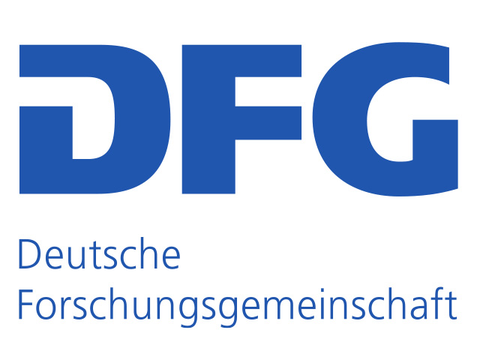 The letters D, F and G in capital letters in a bold blue font, the words "Deutsche Forschungsgemeinschaft" below them