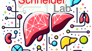 Cartoon depictions of the liver in different sizes and colours, connected to differently coloured dots