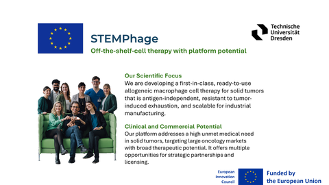 Startpage STEMPhage