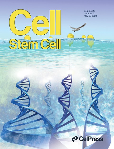 cover_cell-stemcell0420