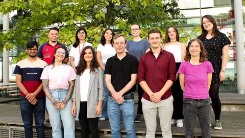 The 12 members of the Sterneckert research group standing in 2 rows of 6 people each in front of a tree.