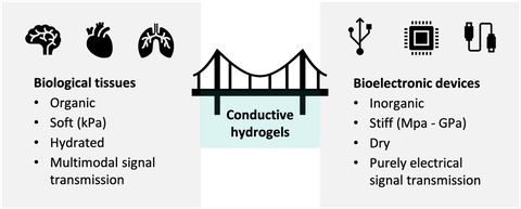 bioelectronic devices