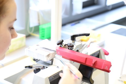 A student working on a cryostat