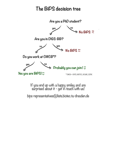 BiPS Decision Tree