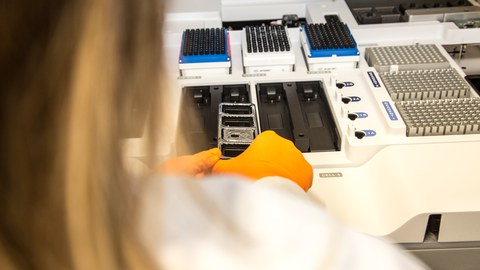 A researcher working in a lab