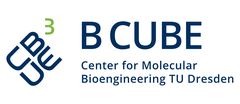 Logo of BCUBE