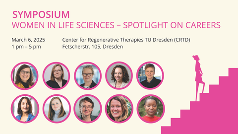 A poster for an event. The background of the image is light beige. At the top, there is bold pink text: "SYMPOSIUM." Below it, there is smaller pink text: "WOMEN IN LIFE SCIENCES – SPOTLIGHT ON CAREERS." Below the pink text, there is black text listing further details: "March 6, 2025, 1 pm – 5 pm Center for Regenerative Therapies TU Dresden (CRTD), Fetscherstr. 105, Dresden." Below the text, there are two horizontal rows of portraits with round, pink frames. The portraits show ten women. To the right of the portraits, there is a pink schematic staircase leading upward. A pink silhouette of a woman is standing on the third step, facing up. 