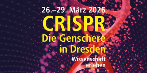 Ein Rendering. Eine große, rote, dreidimensionale Doppelhelix-Struktur aus verbundenen Kugeln windet sich vor einem dunkellila Hintergrund, der mit hunderten kleinen, leuchtenden rosa und lila Punkten übersät ist. Die Helix-Struktur dominiert die rechte Bildseite und erscheint teilweise unscharf, um Tiefe zu suggerieren. Über dieser Szene liegt ein Textblock in der Mitte und links: Die erste Zeile ist weiß und lautet „26.–29. März 2026“. Die zwei prominenten mittleren Zeilen sind groß und gelb und besagen „CRISPR“ und „Die Genschere in Dresden“. Die untere Zeile ist kleiner und weiß und lautet „Wissenschaft erleben“.