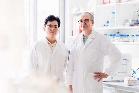 Porträt von Xiaobo Tian und Prof. Thomas Becker. Zwei Männern in weißen Laborkitteln, die lächelnd nebeneinander in einem sauberen Labor stehen.