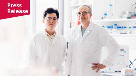 Porträt von Xiaobo Tian und Prof. Thomas Becker. Zwei Männern in weißen Laborkitteln, die lächelnd nebeneinander in einem sauberen Labor stehen. In der oberen linken Ecke befindet sich ein rosarotes, rechteckiges Banner mit der weißen Aufschrift „Press Release“.