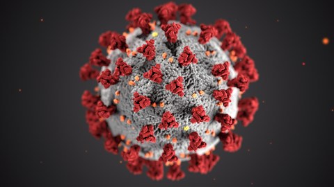 Eine 3D-Visualisierung des Coronavirus. Ein grauer Ball auf schwarzem Hintergrund. Der Ball hat gelbe und orangefarbene Punkte und rote Stacheln auf seiner Oberfläche. 