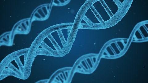 blaue DNA-Helixe auf dunkelblauem Hintergrund