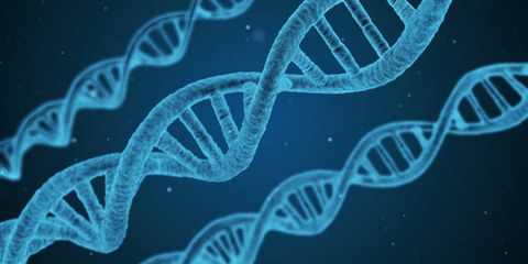 blaue DNA-Helixe auf dunkelblauem Hintergrund
