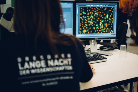 Ein Foto. Eine Person von hinten gesehen. Die Person trägt ein Lange-Nacht-der-Wissenschaften-T-Shirt und sitzt vor dem Computer, der ein farbiges Bild aus dem Mikroskop zeigt.