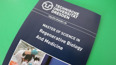 Flyer des Masterstudiengangs Regenerative Biology and Medicine