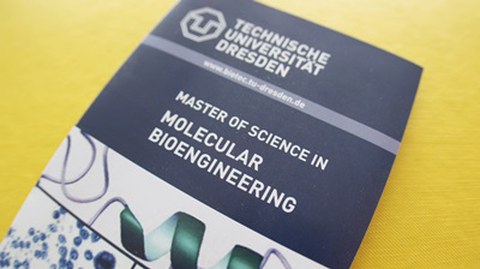 Flyer des Masterstudiengangs Molecular Bioengeneering