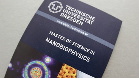 Flyer des Masterstudiengangs Nanobiophysics