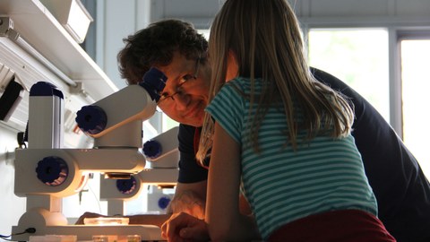 Examining the samples under a microscope for children