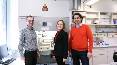 Dr. Ivan Minev, Dr. Anastasia Levchenko und Prof. Dr. Pavel Musienko im Labor am Biotechnologischen Zentrum der TU Dresden (BIOTEC).