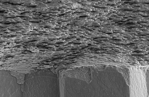 Schwarz-Weiß-Tomographie-Aufnahme der Struktur des Perlmutts, die ein wenig wie eine Ziegelmauer aussieht