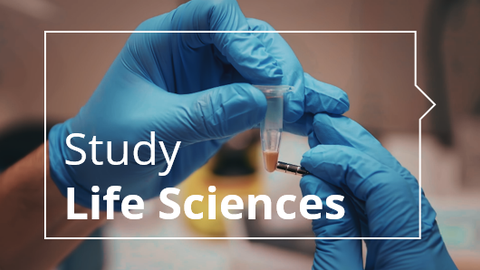 hands in blue gloves holding a small plastic tube. In the foreground, there is white text: "Study Life Sciences"