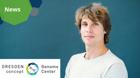 Ein Foto mit grafischen Elementen. Ein Porträt von Dr. Maximilian Krause. In der oberen linken Ecke befindet sich eine Grafik aus grünen Achtecken mit dem Wort „News“. In der unteren linken Ecke befindet sich das Logo des DRESDEN-concept Genome Center auf weißem Hintergrund.
