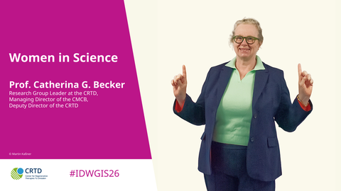 Ein Bild mit einer grafischen Überlagerung. Links eine rosa Form mit dem Text „Frauen in der Wissenschaft, Prof. Catherina G. Becker, Forschungsgruppenleiterin am CRTD, Geschäftsführerin des CMCB, stellvertretende Direktorin des CRTD, © Martin Kaßner”. Darunter auf weißem Hintergrund das Logo des CRTD-Instituts und der Hashtag „#IDWGIS26”. Rechts ist das Foto einer Person zu sehen, die einen Blazer trägt, ihre Hände halb erhoben hält und mit den Zeigefingern nach oben zeigt. Die Person lächelt.  Übersetzt mit DeepL.com (kostenlose Version)