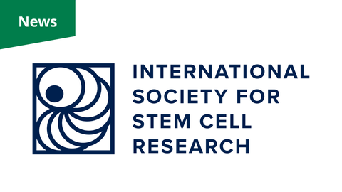 A logo. The logo on the left consists of a square frame enclosing multiple overlapping, curved lines that form a spiral or shell-like pattern. To its right, the text "INTERNATIONAL SOCIETY FOR STEM CELL RESEARCH" is written in all-caps navy blue. A green rectangular banner with the white word "News" is positioned in the upper left corner.