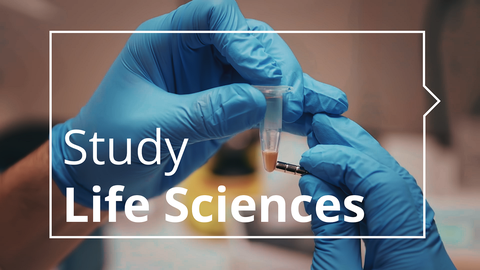 Ein Foto in Nahaufnahme. Hände mit blauen Handschuhen halten ein kleines Laborröhrchen aus Kunststoff. Oben auf dem Foto befindet sich ein weißes Rechteck. Innerhalb des Rechtecks befindet sich ein Text: „ Study Life Sciences“.