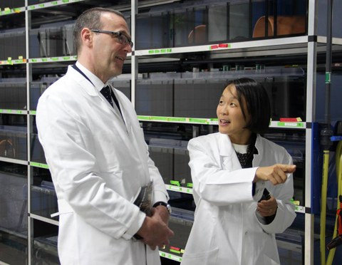 Professorin Elly Tanaka erklärt dem Britischen Botschafter in Deutschland, Simon McDonald, die Regenerationsfähigkeit von Axolotln.
