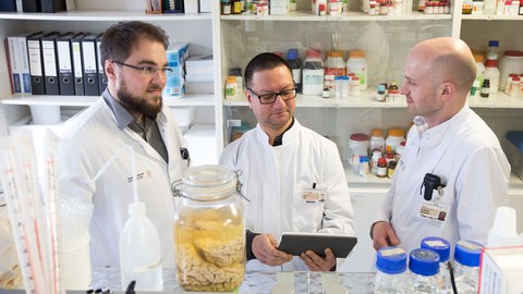 Marcel Naumann, Dr. Arun Pal and Prof. Dr. Dr. Andreas Hermann 