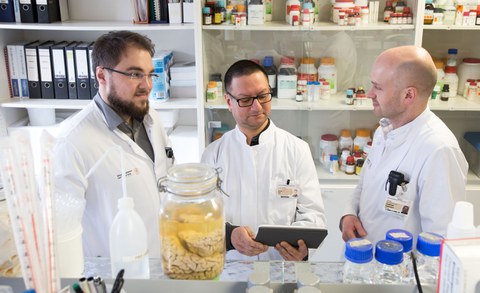 Marcel Naumann, Dr. Arun Pal and Prof. Dr. Dr. Andreas Hermann 