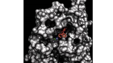  Protein crystal structure