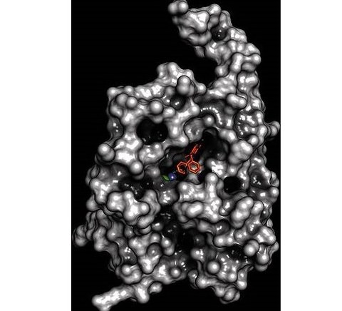  Protein crystal structure