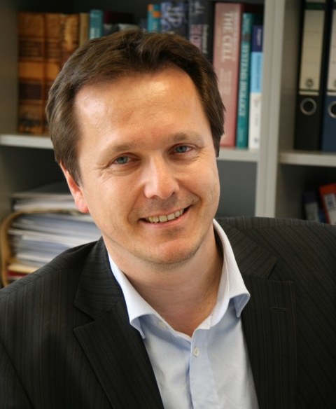 Prof. Dr. Michael Brand