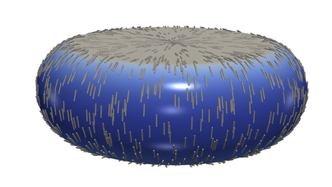 Simulation of strain generated in an elastic cortex shell after uniaxial compression