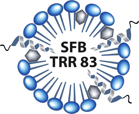 TRR_logo_small