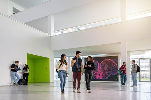 A photo. Seven people standing and walking in a large building hall. In the foreground 3 people talking to each other while walking. In the background: On the left, 2 people are engaged in a lively conversation, each holding a notebook in their hand. On the right, there are 2 people standing and talking, each carrying a backpack.