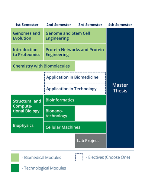 Curriculum of Molecular Bioengineering. Link to full description: https://tud.link/1wdm