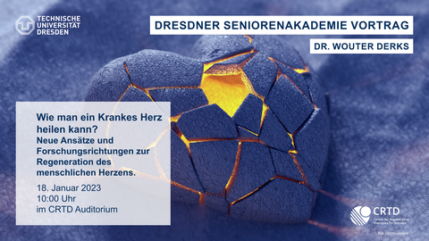 Ein Modell von einem Herz dass in der Mitte ein Loch hat und mit Rissen und Narben übersäht ist