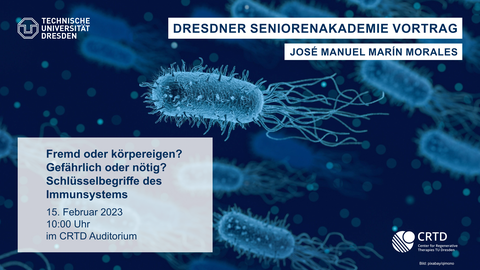 3D modellierte Bakterien