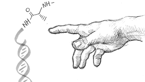 Zeichnung Biomimetik