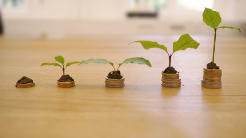 Plants growing out of small coin towers