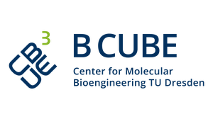 Logo B CUBE