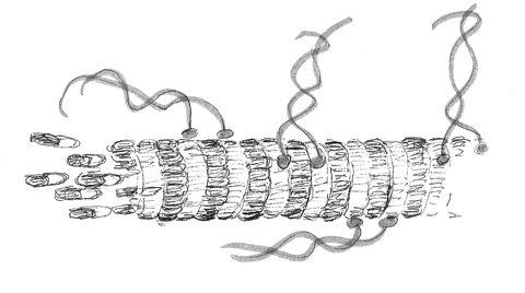 Zeichnung BioNanoTools