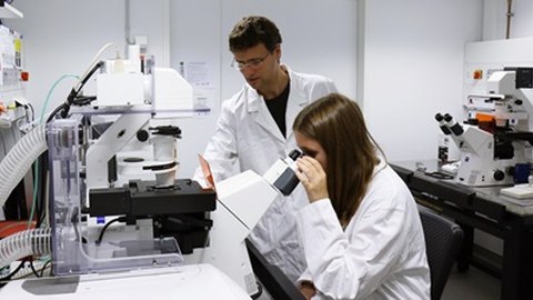 Zwei Wissenschaftler im Kittel arbeiten an einem Mikroskop
