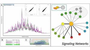 Symbolic Picture for Functional Proteomics