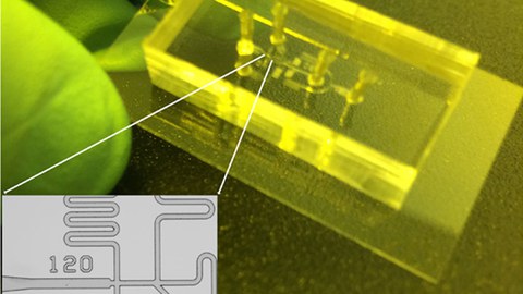 microfluidic example