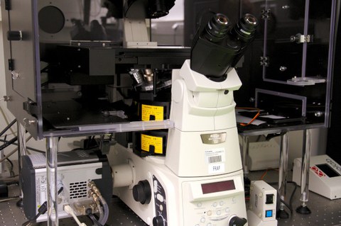 A photo. The image shows a white microscope with black ocular lenses on a black table. On its bottom there are black knobs, a digital display with red numbers, and yellow labels.