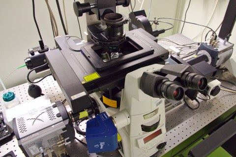 A photo. A white microscope with black ocular lenses stands on a metallic table with small holes. It has black components, and yellow warning labels. In the background are other instruments.